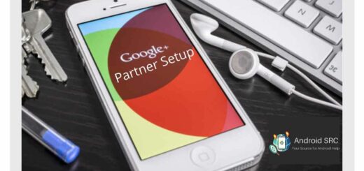 Google Partner Setup