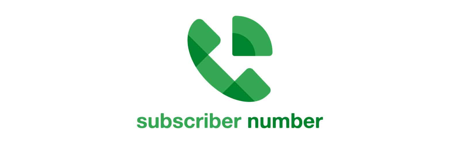 Google Subscriber Numbers Complete Details on Google Voice Subscriber