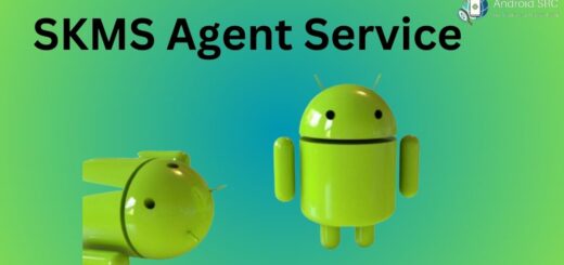 SKMS Agent Service