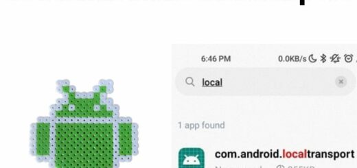 com.android.localtransport