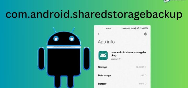 com.android.sharedstoragebackup